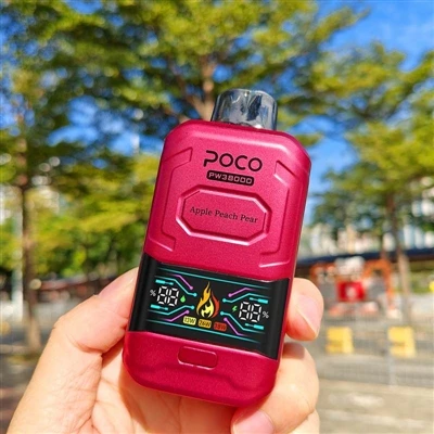 En-djupgående analys av POCO PW 38000 Disposable E-cigarett: A Practical Choi...