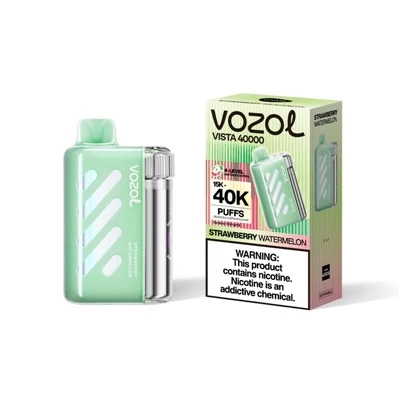 VOZOL VISTA 40000: I The Era Of High-Puff Disposable E-cigaretter, vad defini...