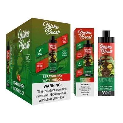 R&M Shisha Beast 20000 Puffar