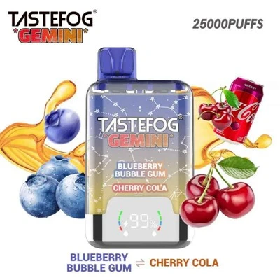 TAIDEFOG GEMINI 25K